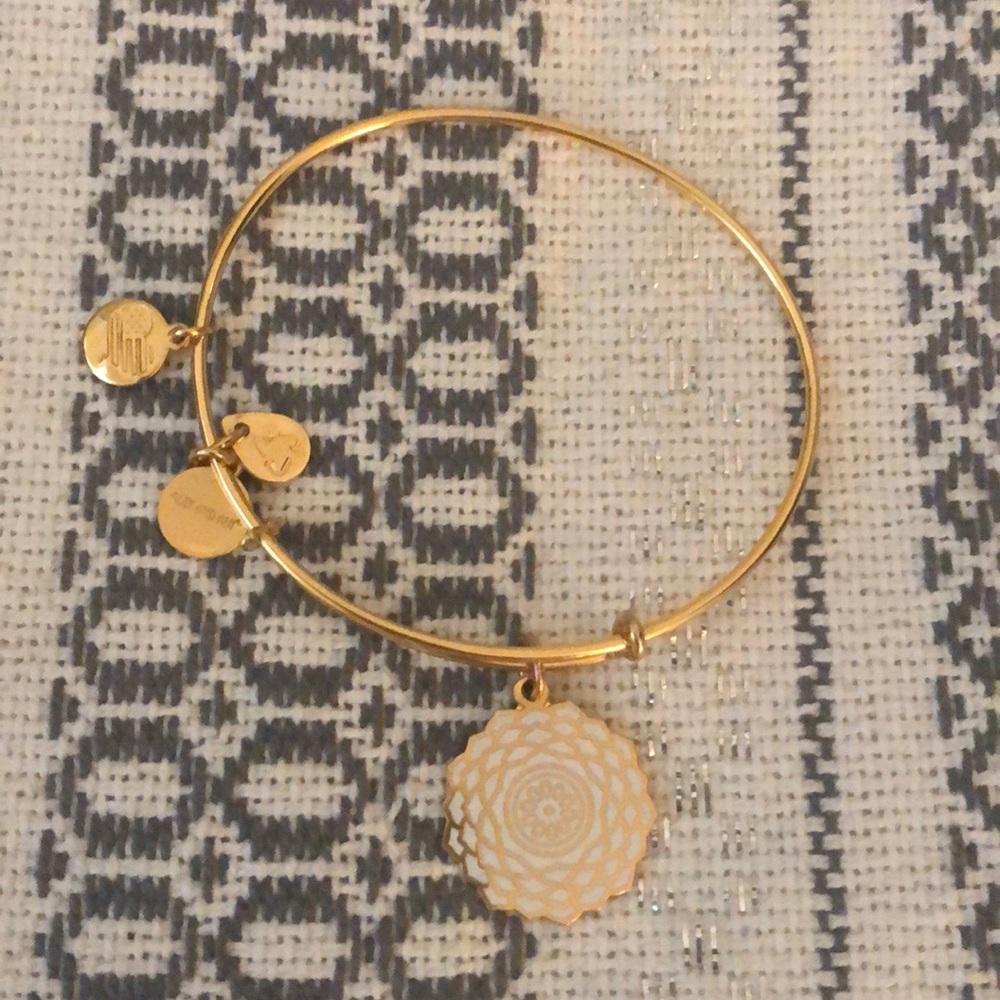 Alex and Ani chakra bracelet